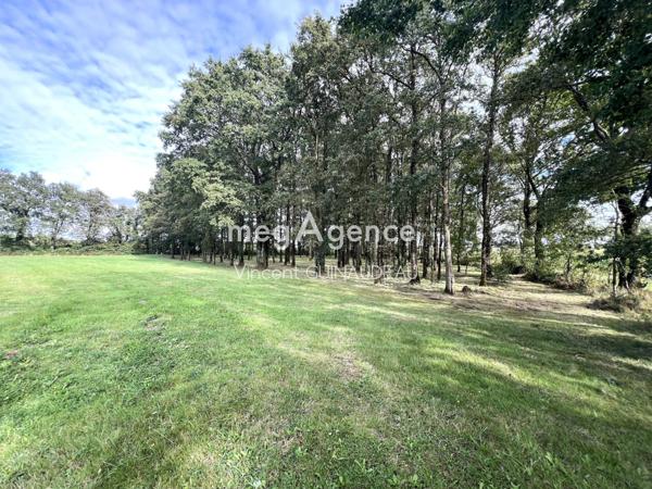 Terrain à Cholet, 49300 - 12539m²