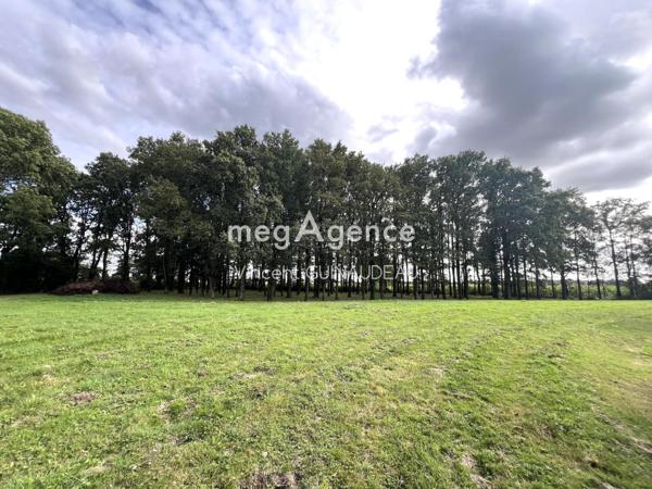 Terrain à Cholet, 49300 - 12539m²