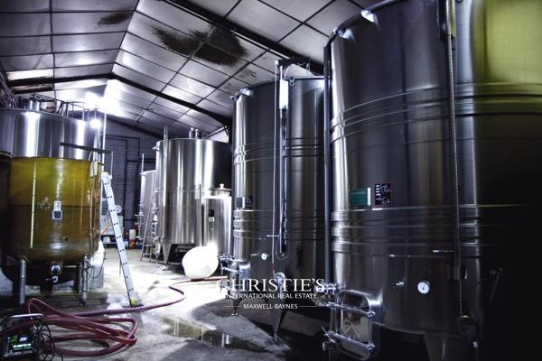 Au coeur du Bas-Armagnac – Domaine en production, chais d’exception, maison de maitre à sublimer