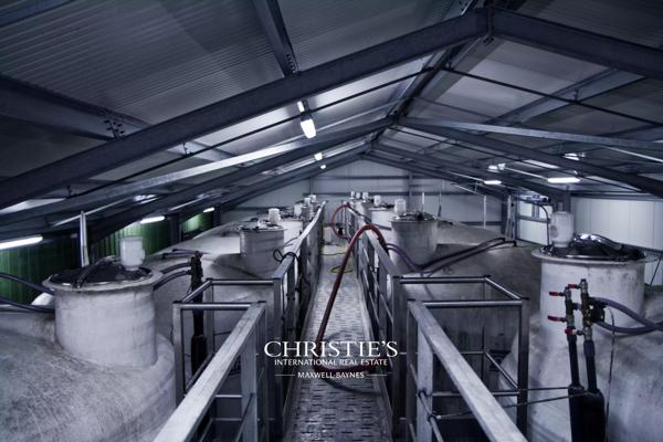Au coeur du Bas-Armagnac – Domaine en production, chais d’exception, maison de maitre à sublimer