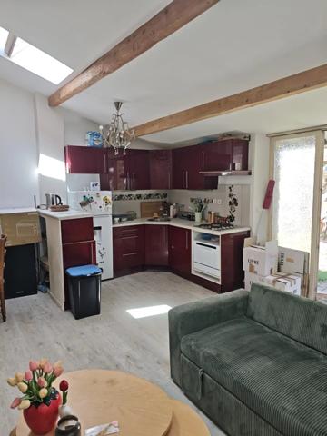 Vente Immeuble 7 pièces 169 m2 à Laroque-d'Olmes