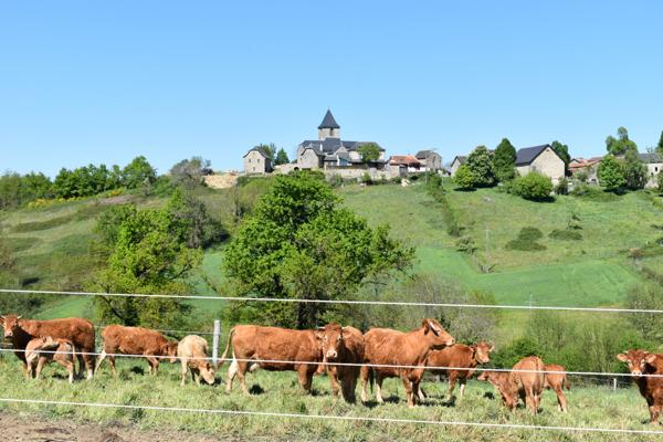 Villefranche-de-Rouergue (12200) Corps de ferme du XVIIIe rénové – Gîtes, mini-camping, piscine et superbe pigeonnier – Aveyron