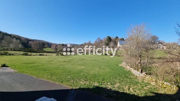 Local Commercial 22 pièces - 757 m² Exclusivité efficity