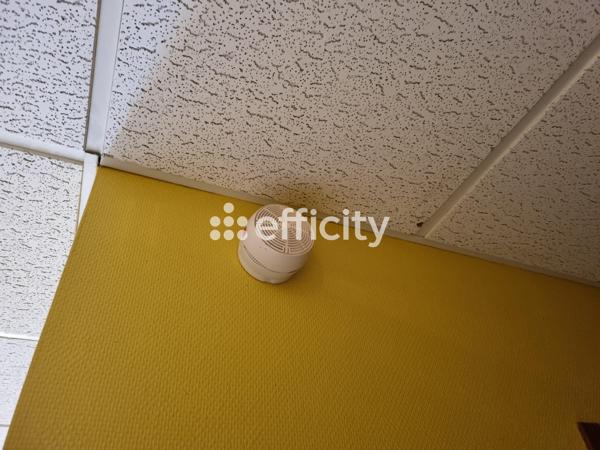 Local Commercial 22 pièces - 757 m² Exclusivité efficity