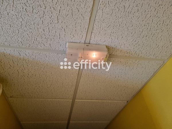 Local Commercial 22 pièces - 757 m² Exclusivité efficity