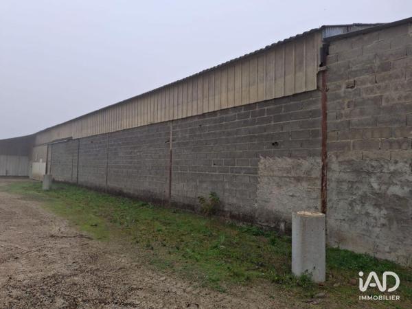 Murs commerciaux  à vendre 1 250 m² Saint-Nicolas-de-la-Grave