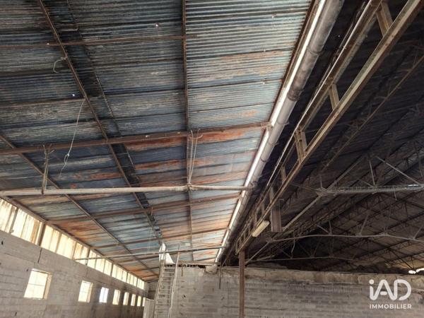 Murs commerciaux  à vendre 1 250 m² Saint-Nicolas-de-la-Grave