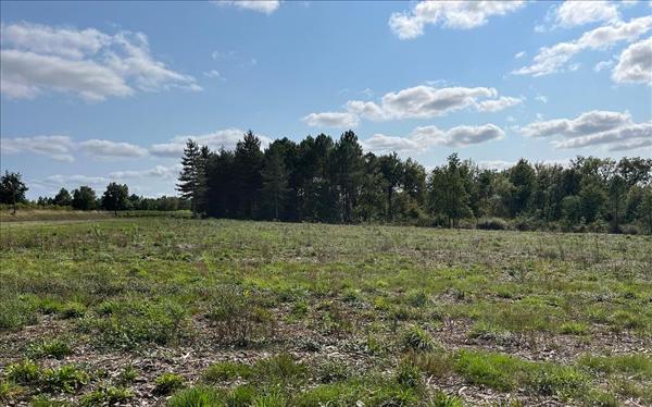 Terrain à vendre |  Montguyon |  779 m²