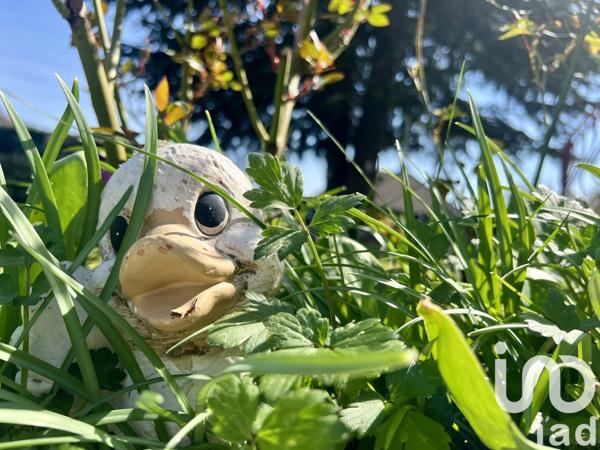 Maison à vendre 6 pièces 151 m² Bornel