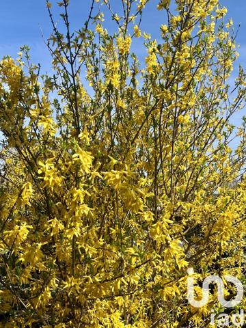 Maison à vendre 6 pièces 151 m² Bornel