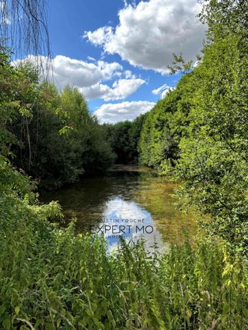 Connerré (72160) MAISON avec PISCINE et ETANG