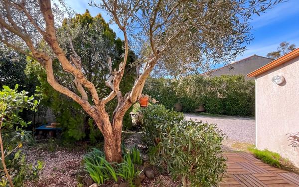 Maison à vendre    4 pièces •  Marseillan