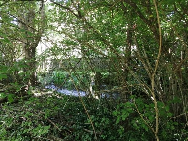 Terrain viabilisé de 1000 m² à Divonne-les-Bains