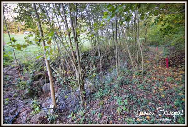 Terrain viabilisé de 1000 m² à Divonne-les-Bains