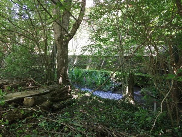 Terrain viabilisé de 1000 m² à Divonne-les-Bains