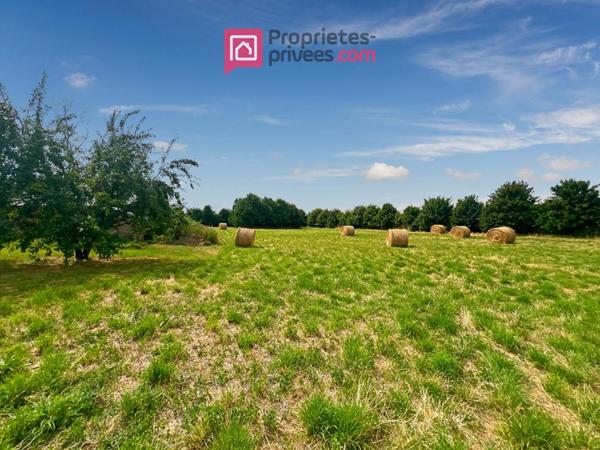 Maison Martigne Ferchaud 7 pièce(s) 220 m2