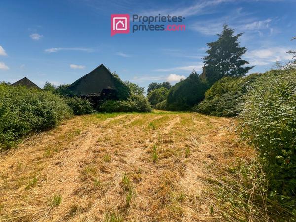 Maison Martigne Ferchaud 7 pièce(s) 220 m2