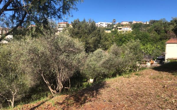 Terrain à vendre    Colomars