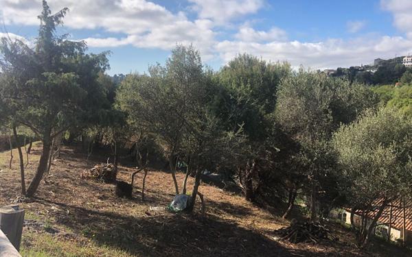 Terrain à vendre    Colomars