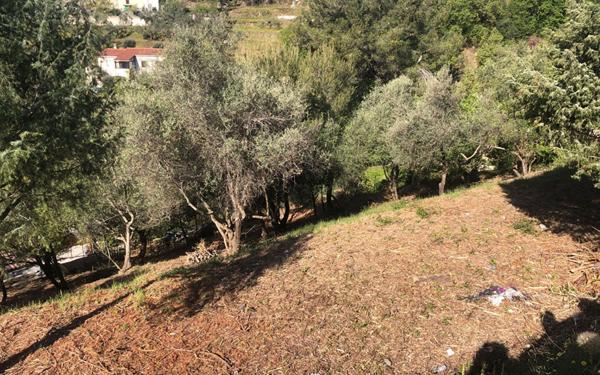 Terrain à vendre    Colomars