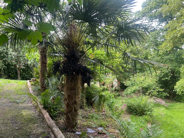 Maison en pierre au calme à PLESLIN TRIGAVOU