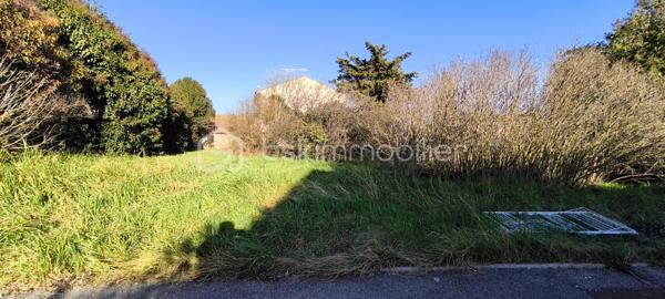 Terrain de 356 m²