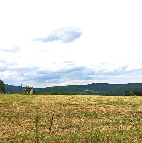 TERRAIN à bâtir 1ha 33a 42ca
