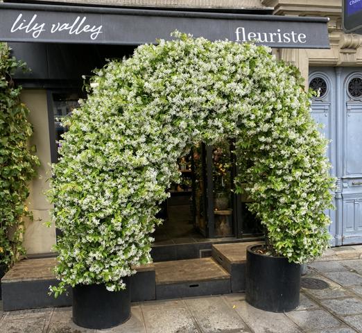 Fonds De Commerce - 45 m² Exclusivité efficity