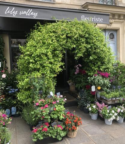 Fonds De Commerce - 45 m² Exclusivité efficity