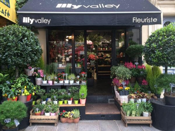 Fonds De Commerce - 45 m² Exclusivité efficity