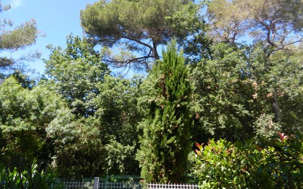 Appartement à louer    2 pièces • 27,39 m2 Villeneuve-Loubet