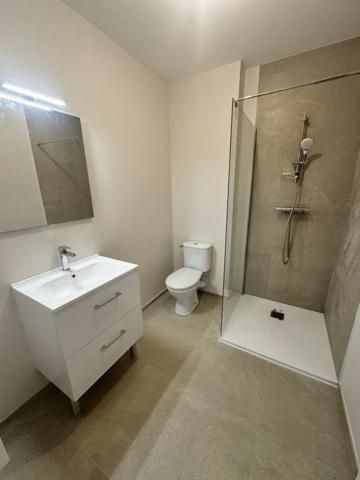Appartement à louer à Romans-sur-Isère (26100)