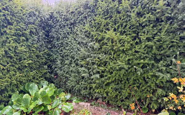 Maison à vendre    6 pièces • 145 m2 Limas