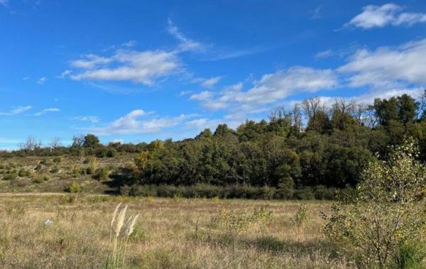 Vente Terrain Portes-les-valence   