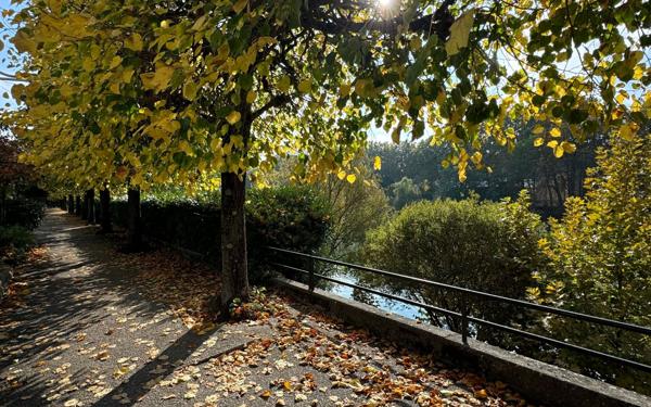 Appartement à vendre    3 pièces • 55,88 m2 Champigny-sur-Marne