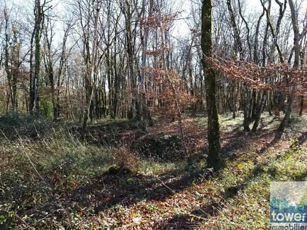 Terrain à construire 791 m2 à 11 mn de La Rochefoucauld