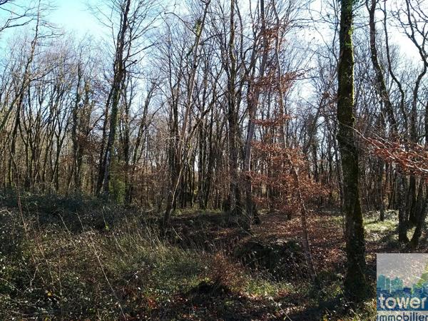 Terrain à construire 791 m2 à 11 mn de La Rochefoucauld