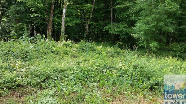 Terrain à construire 791 m2 à 11 mn de La Rochefoucauld