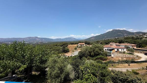 VILLA FAMILIALE AVEC PISCINE ET DÉPENDANCES – BASTELICACCIA