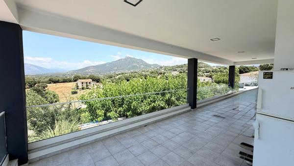 VILLA FAMILIALE AVEC PISCINE ET DÉPENDANCES – BASTELICACCIA