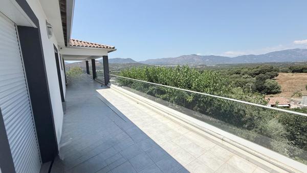 VILLA FAMILIALE AVEC PISCINE ET DÉPENDANCES – BASTELICACCIA