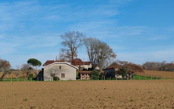 Maison à vendre    5 pièces • 150 m2 Saint-Sever