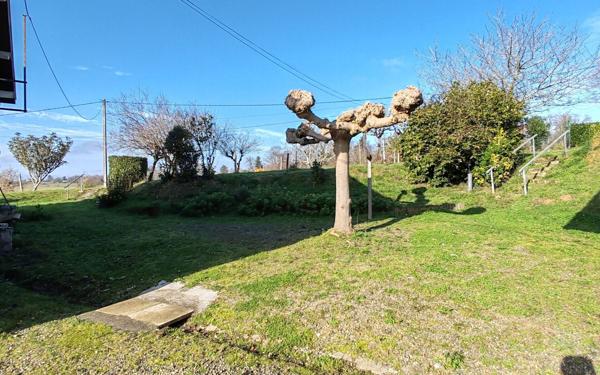 Maison à vendre    5 pièces • 150 m2 Saint-Sever