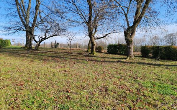 Maison à vendre    5 pièces • 150 m2 Saint-Sever