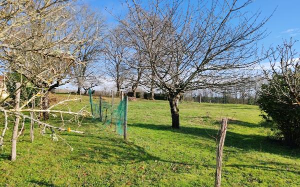 Maison à vendre    5 pièces • 150 m2 Saint-Sever