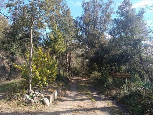 En vacances toute l'année, Maison en pleine nature à fort potentiel ! (66)