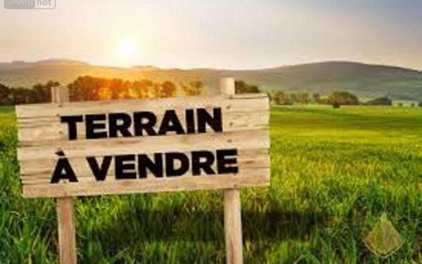 Terrain à vendre    Montfavet - Avignon