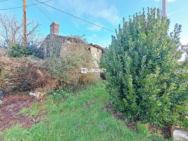 Achat maison Mauges-sur-Loire - 1 pièce(s) - 20 m² - 31 000 €