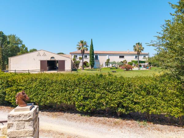 Vente Propriété équestre Montpellier 6 Pièces 306 m²