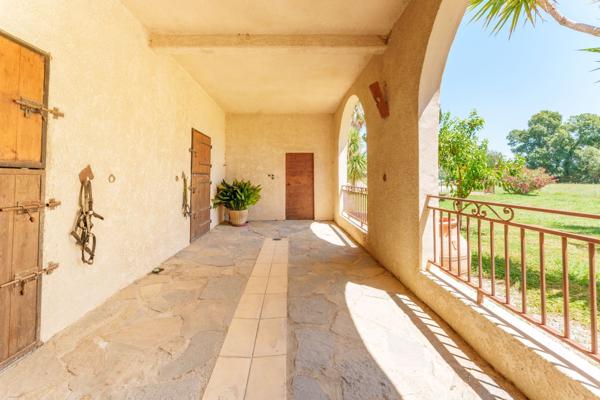 Vente Propriété équestre Montpellier 6 Pièces 306 m²